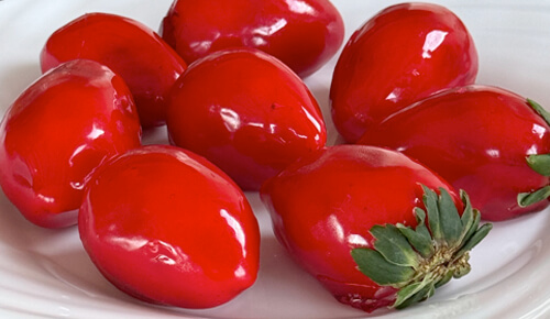 Tá na moda, tá na Litoral!